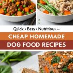 Whisk ef242491dfae02e881e47e2886c5d9c4dr